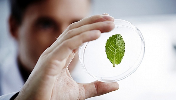 新興能源技術(shù)研發(fā) 驅(qū)動(dòng)未來(lái)可持續(xù)發(fā)展的核心引擎